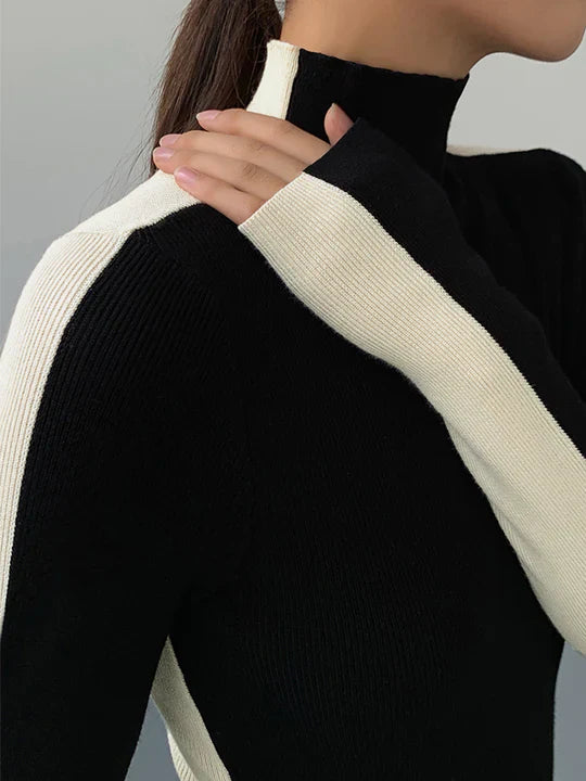 Elle Turtleneck Top with Contrasting Sleeves